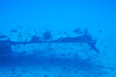 DSC_5742.JPG