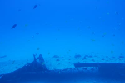 DSC_5743.JPG