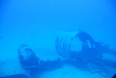DSC_5745.JPG