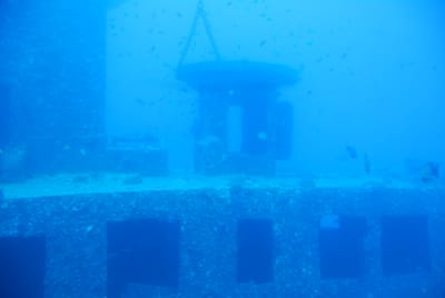 DSC_5748.JPG