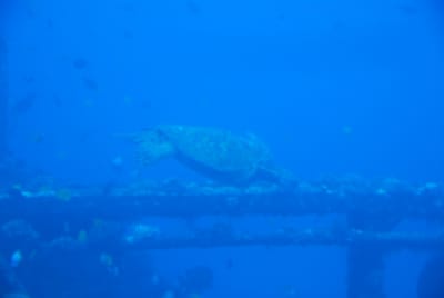 DSC_5752.JPG