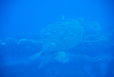 DSC_5753.JPG