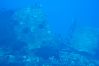 DSC_5760.JPG