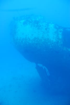 DSC_5761.JPG