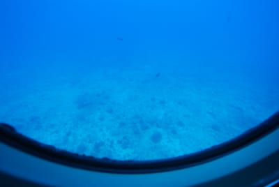 DSC_5774.JPG
