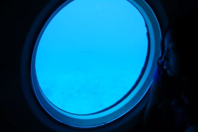 DSC_5775.JPG