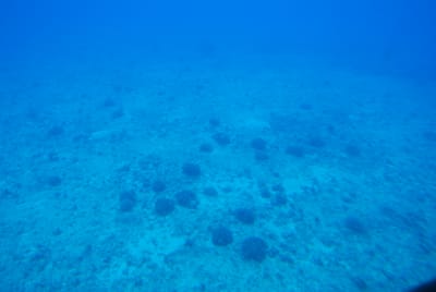 DSC_5777.JPG