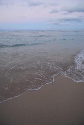 DSC_5680.JPG