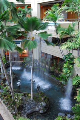 DSC_5694.JPG
