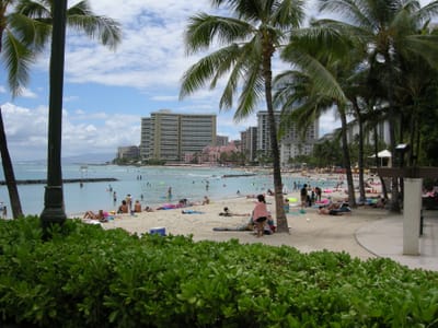 DSCN0825.JPG