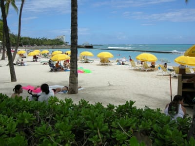 DSCN0826.JPG