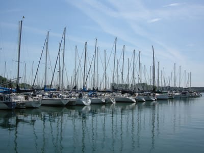 DSCN0832.JPG