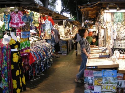 DSCN0739.JPG