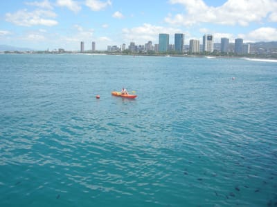 DSCN0805.JPG