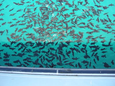 DSCN0809.JPG