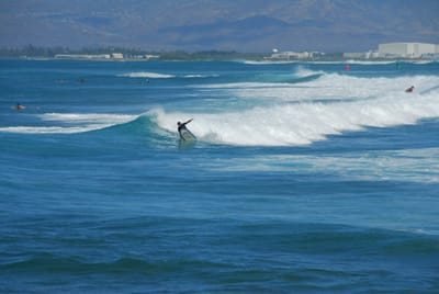 DSC_5125.JPG