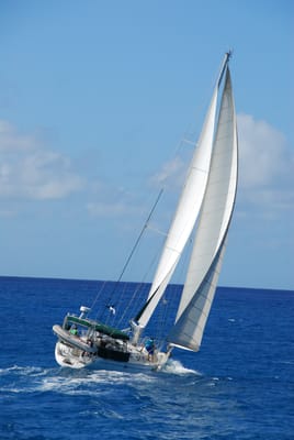 DSC_5130.JPG