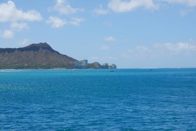 DSC_5135.JPG