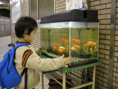 DSCN0019.JPG