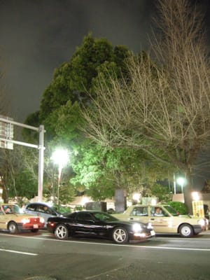 DSCN0072.JPG
