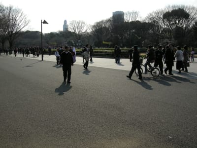 DSCN0140.JPG