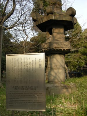 DSCN0154.JPG