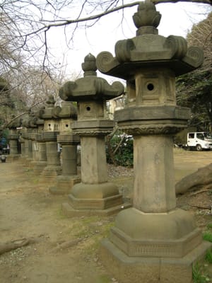DSCN0155.JPG