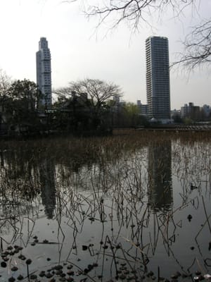 DSCN0158.JPG