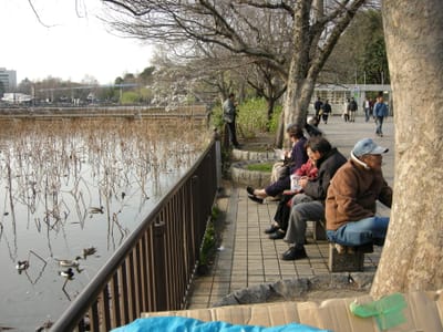 DSCN0159.JPG