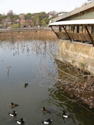 DSCN0165.JPG
