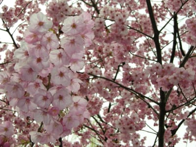 DSCN0173.JPG