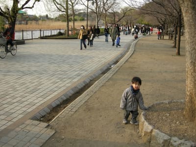 DSCN0176.JPG