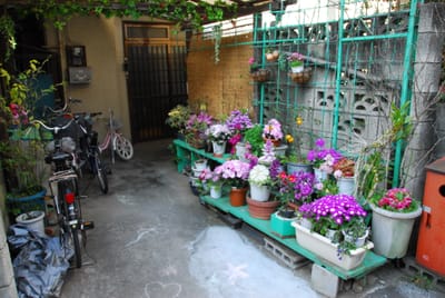DSC_4069.JPG