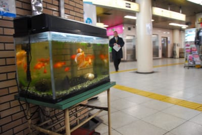 DSC_4074.JPG