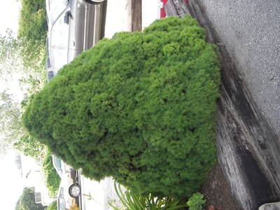 IMGP2045.JPG