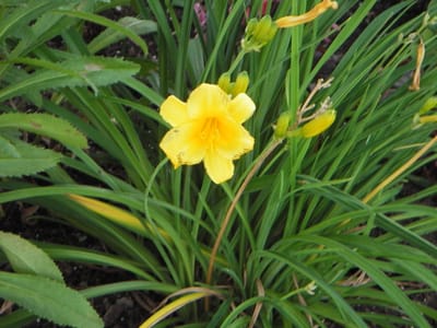 IMGP2046.JPG
