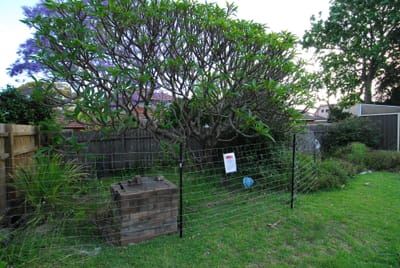 DSC_7094.JPG
