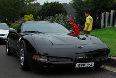 DSC_3785.JPG