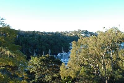 DSC_6007.JPG