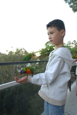 DSC_6032.JPG
