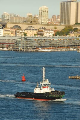 DSC_4741.JPG