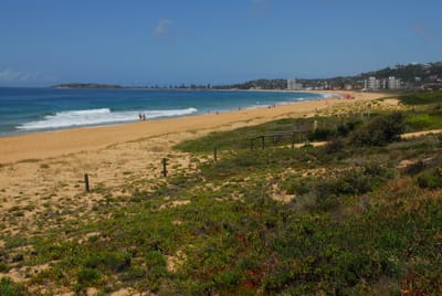 DSC_3557.JPG