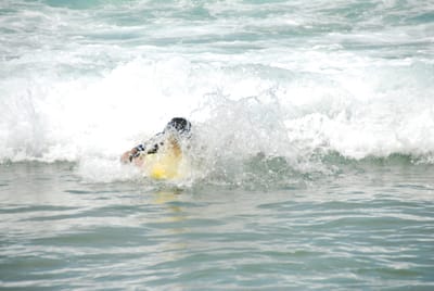 DSC_3571.JPG
