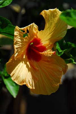 DSC_3580.JPG