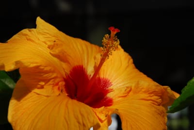 DSC_3587.JPG