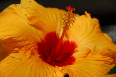 DSC_3589.JPG