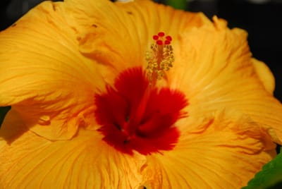 DSC_3595.JPG