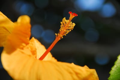 DSC_3596.JPG
