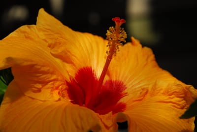 DSC_3601.JPG