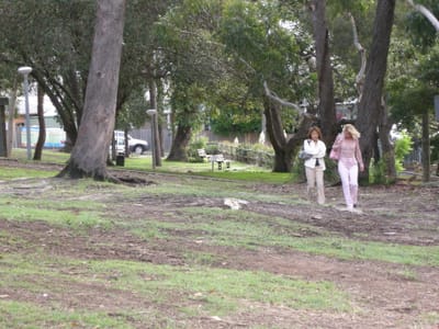 DSCN0277.JPG